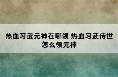 热血习武元神在哪领 热血习武传世怎么领元神